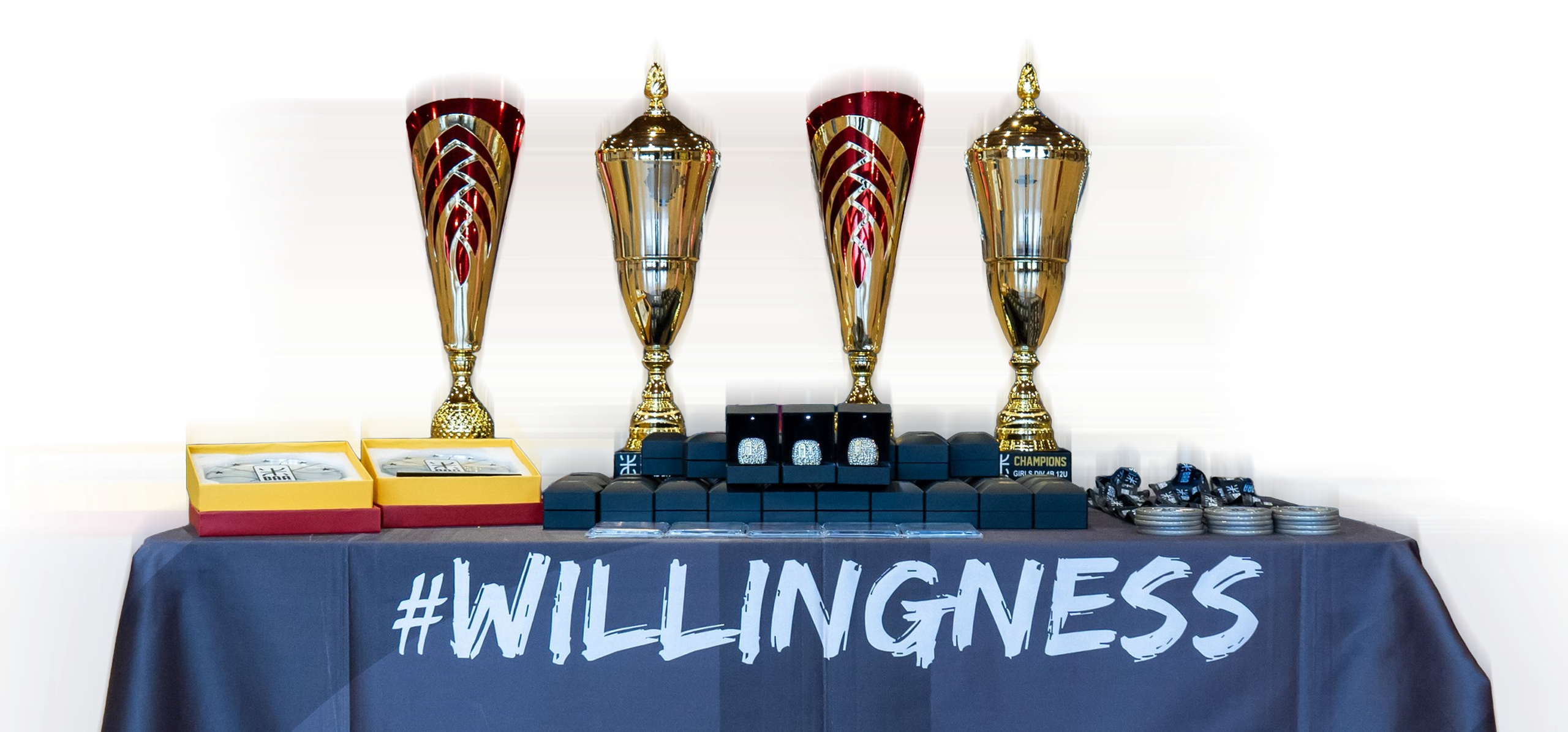 trophies2